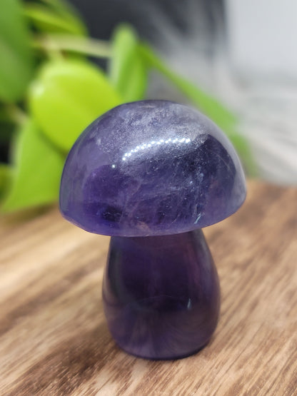 Fluorite Mushroom: Clarity and Harmonious Balance