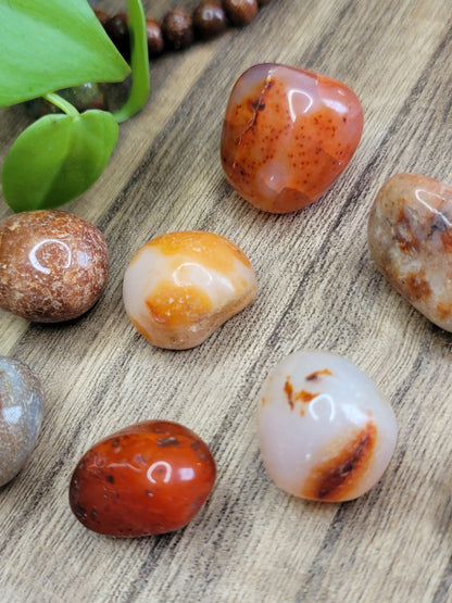 Carnelian Tumble – Confidence, Motivation & Action