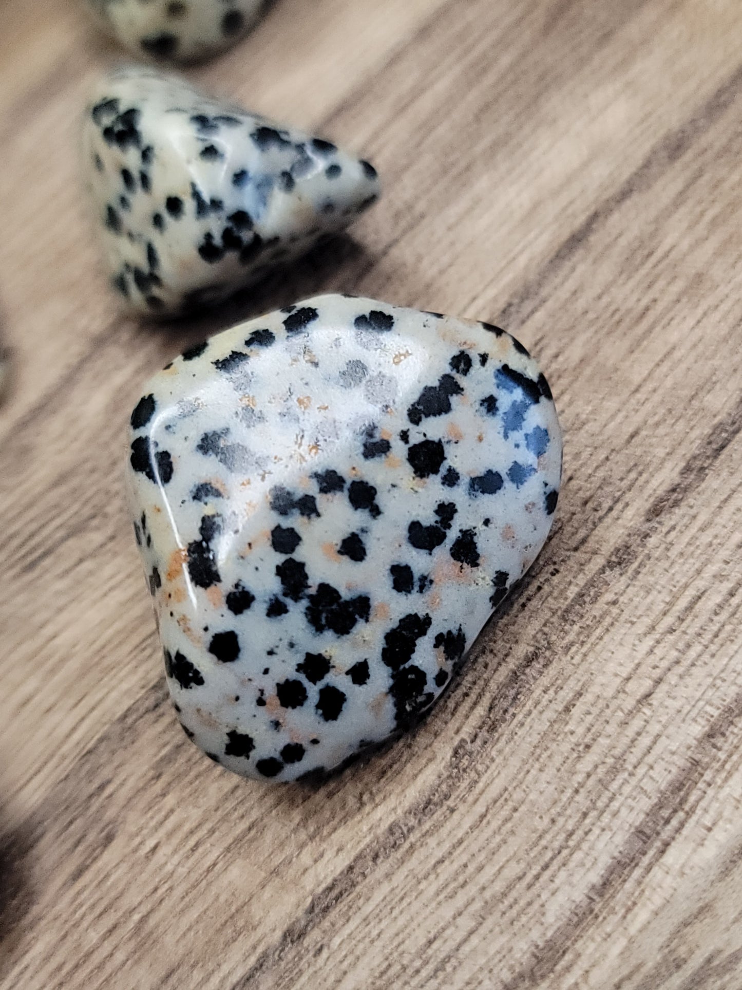 Dalmatian Jasper Tumble – Playful Energy, Protection & Motivation