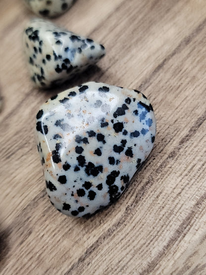 Dalmatian Jasper Tumble – Playful Energy, Protection & Motivation