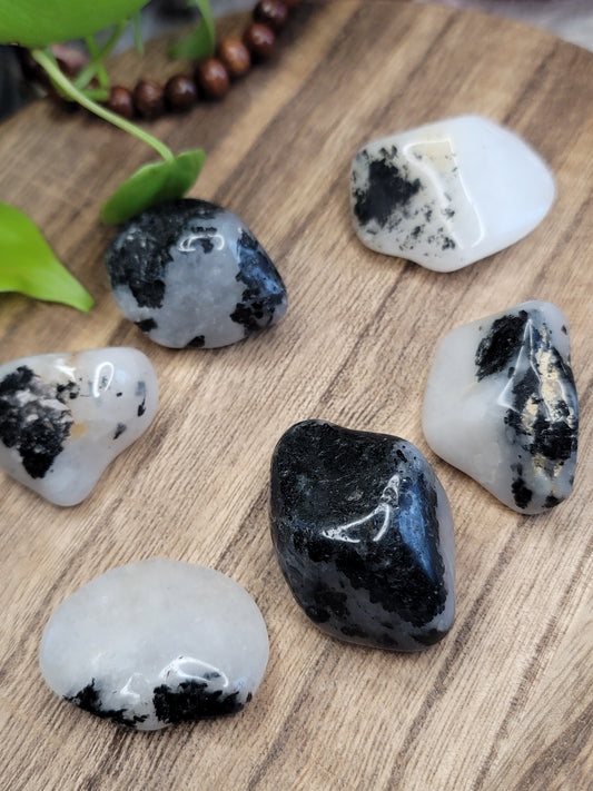 Tourmalinated Quartz Tumble – Protection, Clarity & Emotional Strength