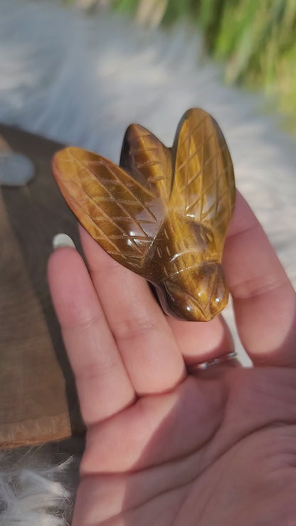 Tiger's Eye Bee Carving: Strength and Vitality