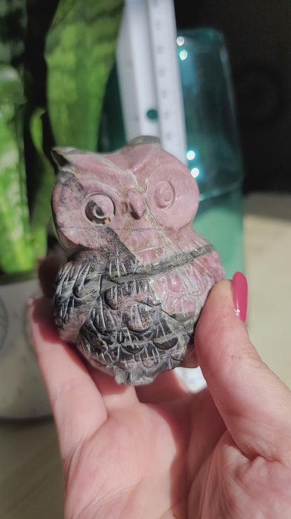 Rhodonite Owl Carving: Guardian of Compassion and Emotional Healing