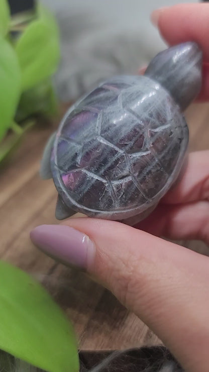 High Flash Labradorite Turtle Carving: Mystical Protection and Inner Strength