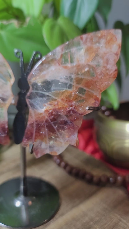 Butterfly Crystal Wings on Stand – Transformation, Growth & Sacred Display