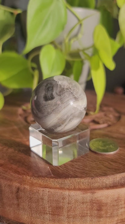 Thousand Eye Shell Sphere: A Conduit of Ancient Wisdom and Grounding Energy 1.75"