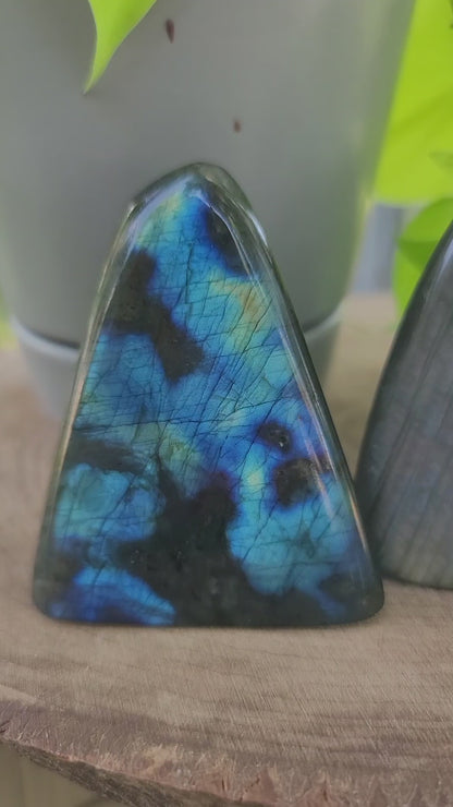 High-Flash Labradorite Freeform – Transformation, Intuition & Magic