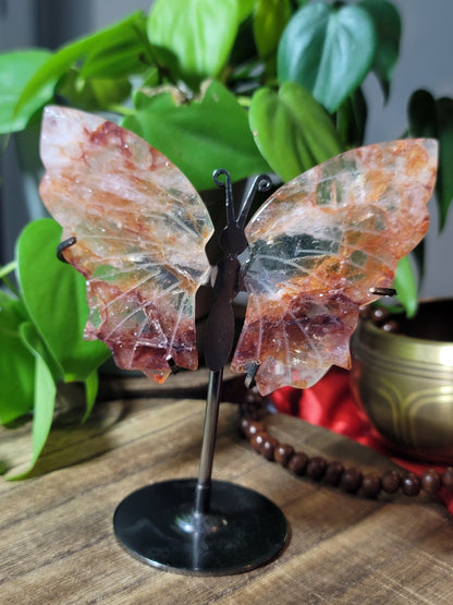 Butterfly Crystal Wings on Stand – Transformation, Growth & Sacred Display
