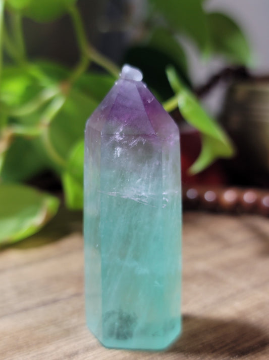 Watermelon Fluorite Point – Emotional Clarity, Alignment & Heart-Driven Focus