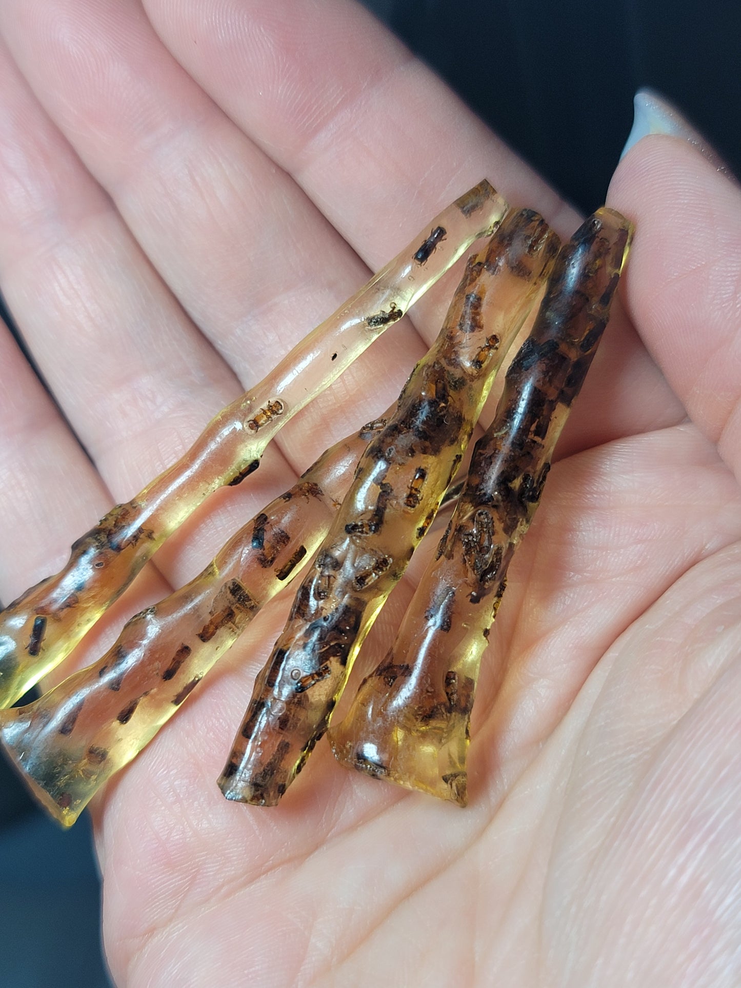 Baltic Amber with Insects – Ancient Wisdom, Protection & Evolution Energy