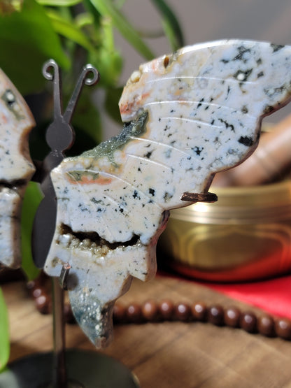 Butterfly Crystal Wings on Stand – Transformation, Growth & Sacred Display