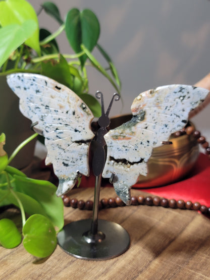 Butterfly Crystal Wings on Stand – Transformation, Growth & Sacred Display
