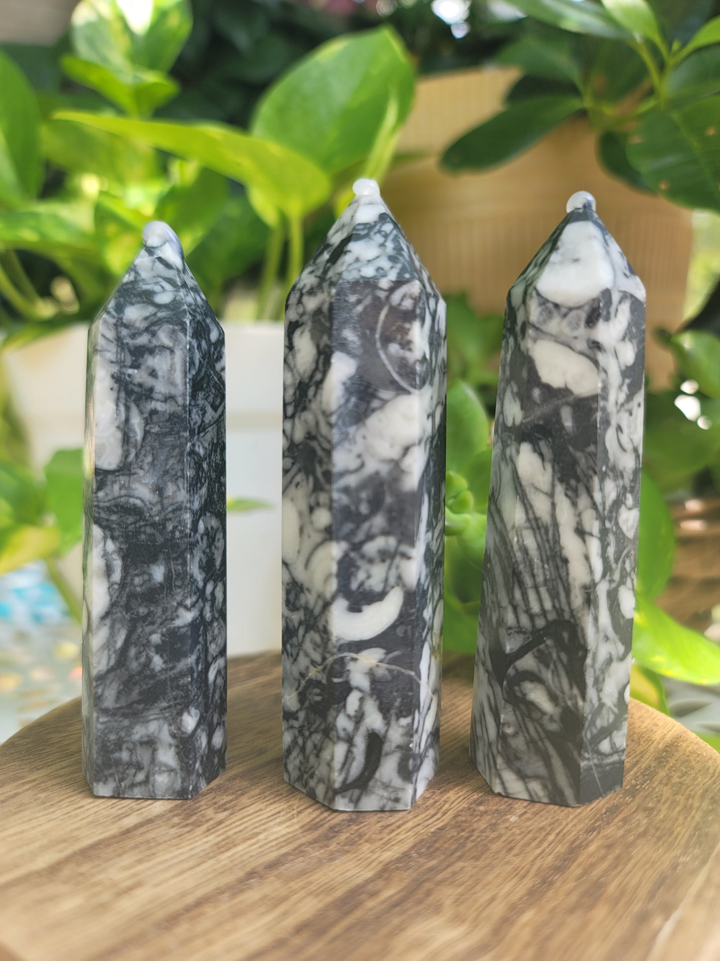 Fossil Tower for Ancient Wisdom Grounding and Past-Life Energy