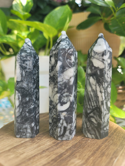 Fossil Tower for Ancient Wisdom Grounding and Past-Life Energy