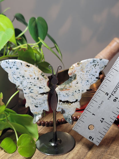 Butterfly Crystal Wings on Stand – Transformation, Growth & Sacred Display