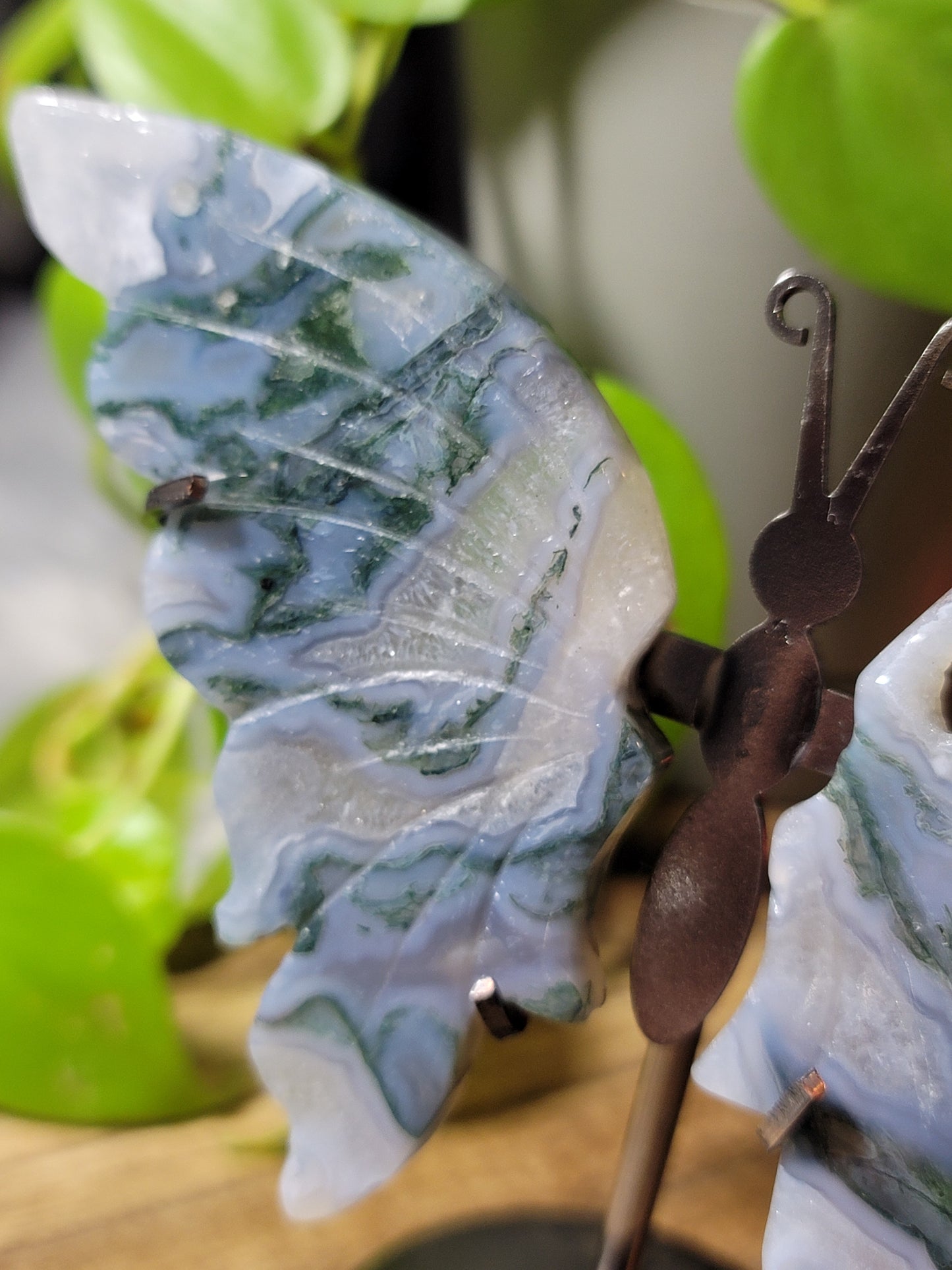 Butterfly Crystal Wings on Stand – Transformation, Growth & Sacred Display