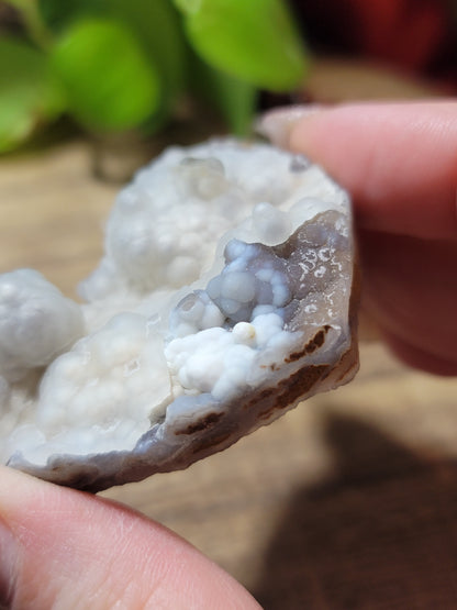Bubble Agate Heart – Emotional Flow, Soft Grounding & Gentle Expansion