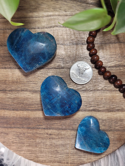 Blue Apatite Heart – Intuition, Focus & Purpose-Driven Energy
