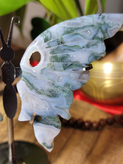 Butterfly Crystal Wings on Stand – Transformation, Growth & Sacred Display