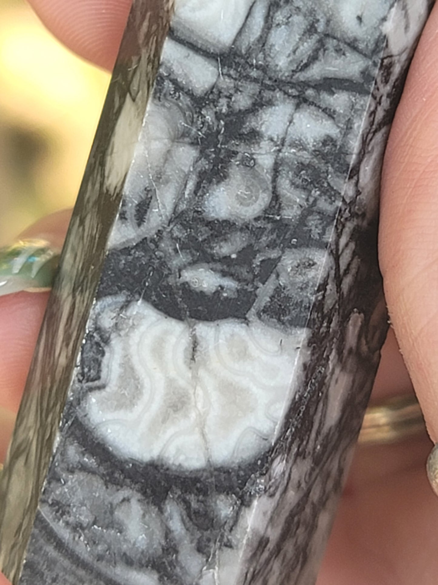 Fossil Tower for Ancient Wisdom Grounding and Past-Life Energy
