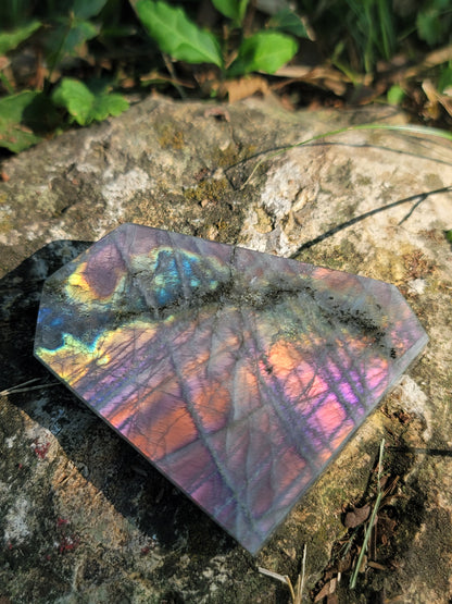 Labradorite Freeform for Intuition Transformation and Spiritual Protection