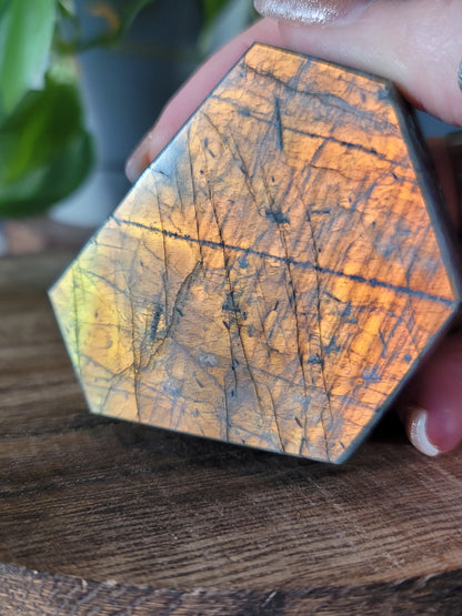 Labradorite Freeform for Intuition Transformation and Spiritual Protection