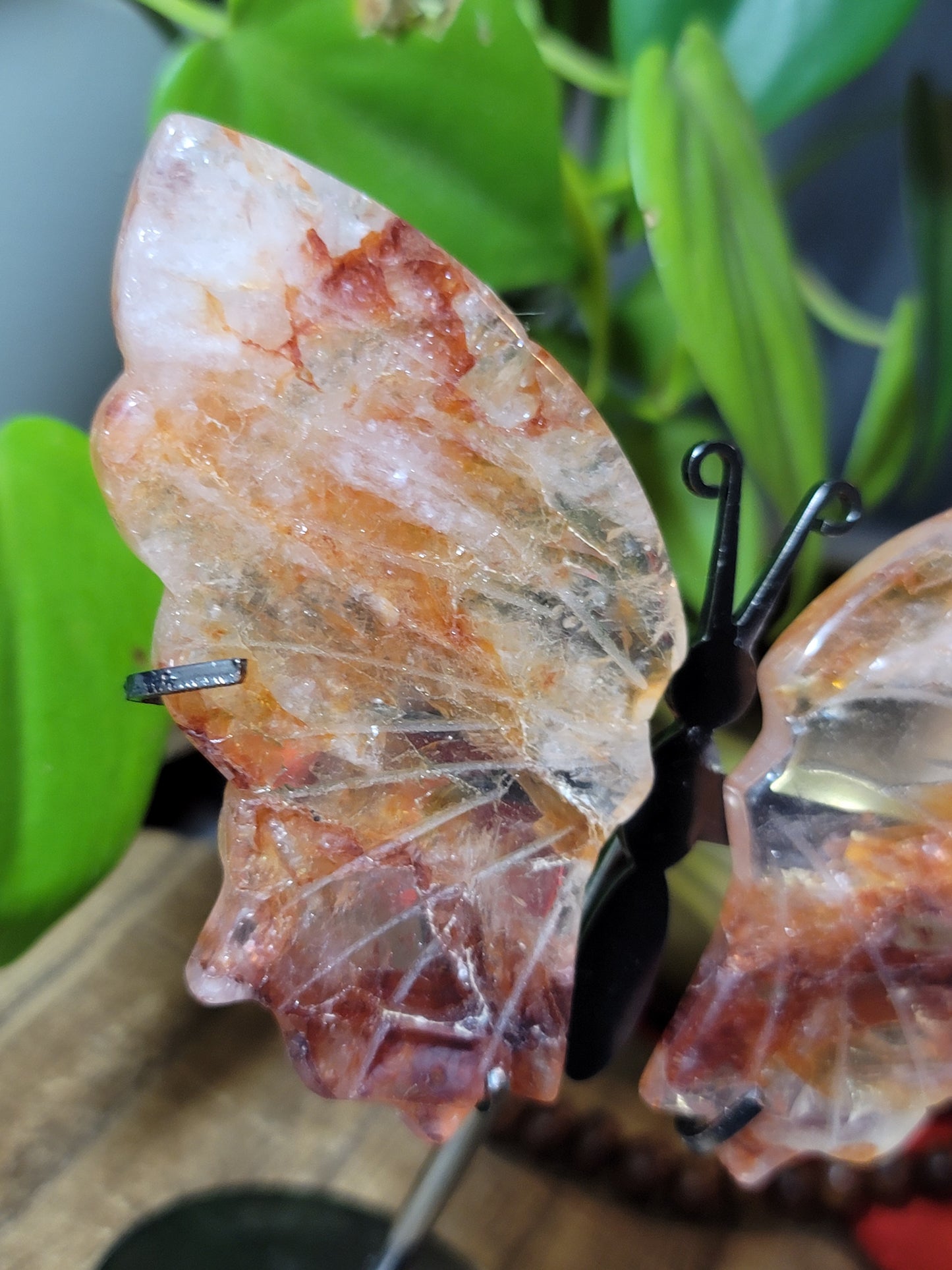 Butterfly Crystal Wings on Stand – Transformation, Growth & Sacred Display